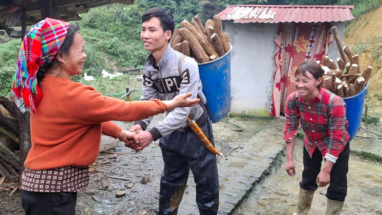 Helping the Landlord Harvest Cassava – Authentic Rural Life