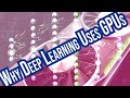 Cuda explained  why deep learning uses gpus