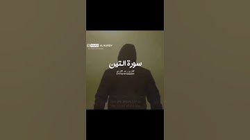 سورة التين رعد الكردي تلاوة خاشعة