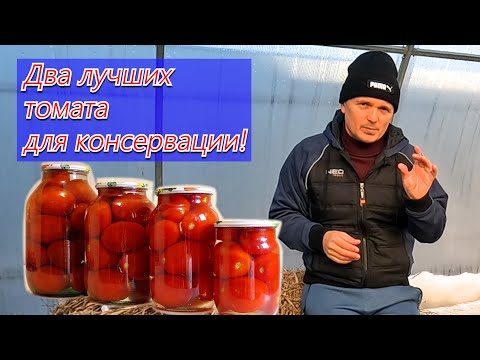 Видео: Выбор томатов для консервирования: популярные сорта томатов для консервирования