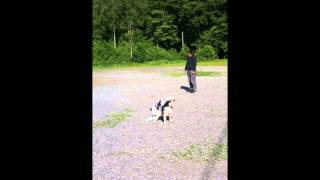 MH med Easy this is me Meya - Örkelljunga 20120603
