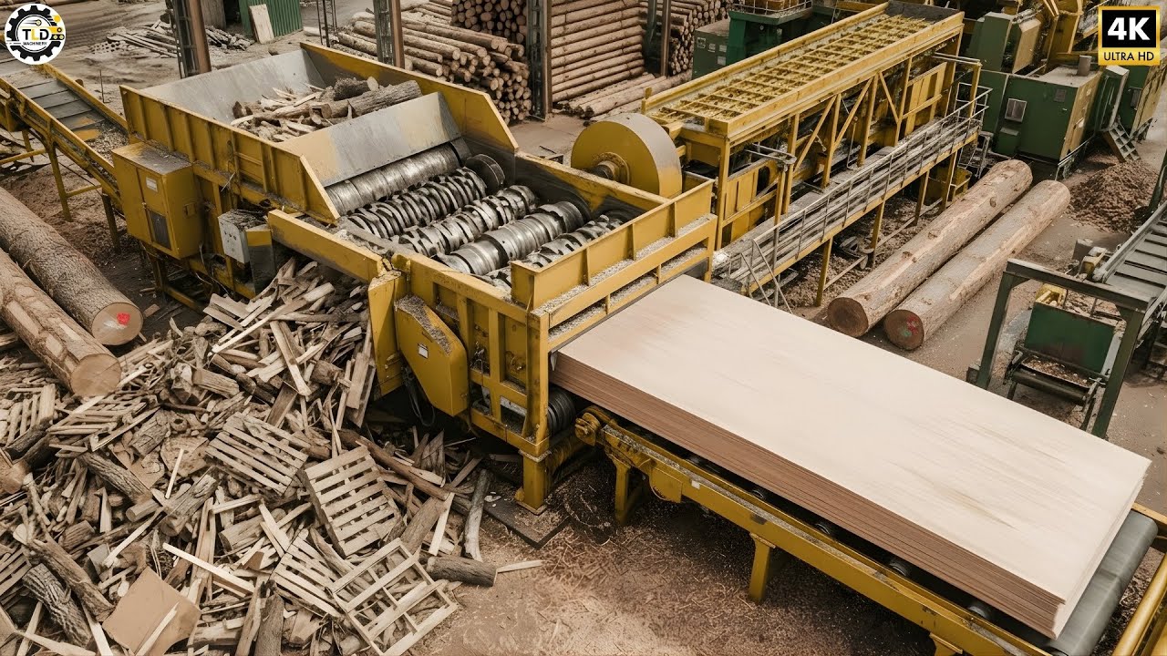 Inside the Recycle Wood Factory – How Tons of Wood Waste Become Massive MDF Boards (Full Process)