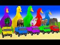 Long Slide Game with Cow Elephant Gorilla Hippopotamus Tiger 3d Animal Game Funny 3d Animals