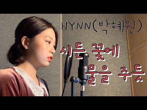 박혜원(HYNN)-시든 꽃에 물을 주듯(The Lonely Bloom Stands Alone)[Cover by 시은]