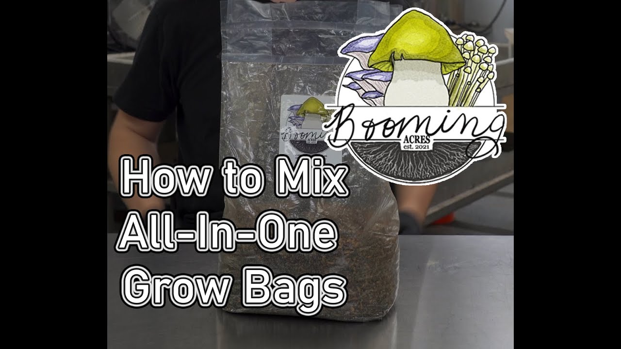 Как приготовить универсальный пакет для выращивания грибов