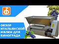 Мялка для винограда с гребнеотделителем отделяет ягоды от гребней (итальянская Rondinella)