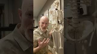 Freeing the #adductors from the #pelvicfloor