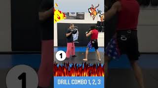 Basic Combo 1 Jab, Cross, Hook