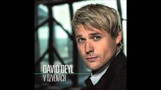 David Deyl - Motýl bez křídel (audio) chords