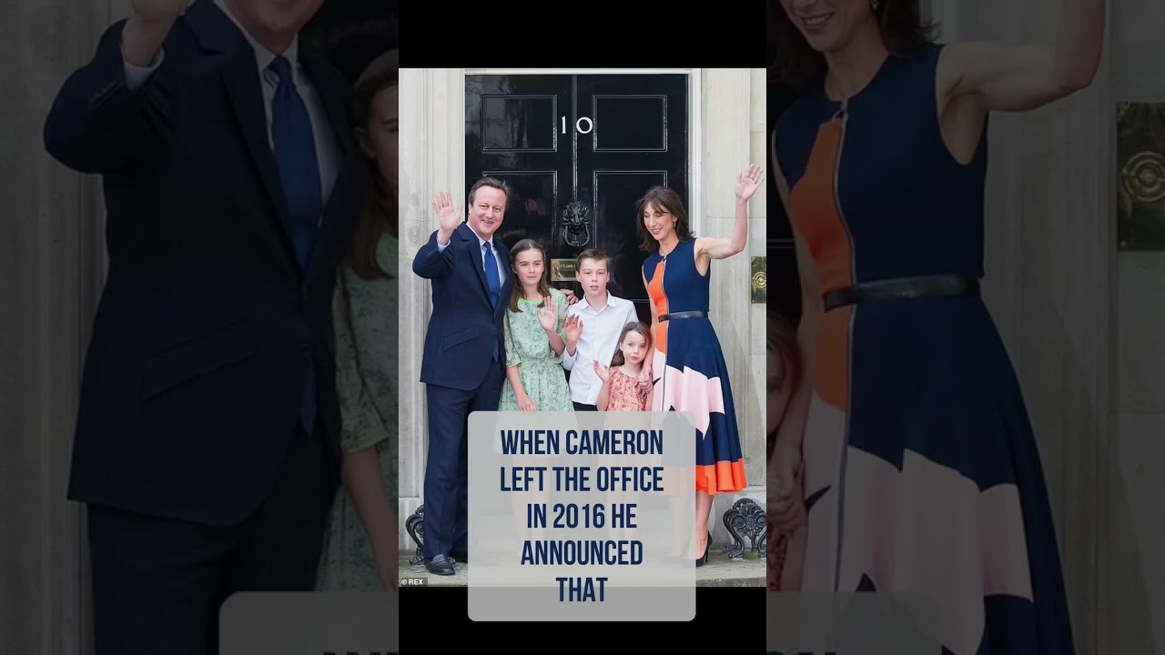 Cats in the News Larry for Leader YouTube