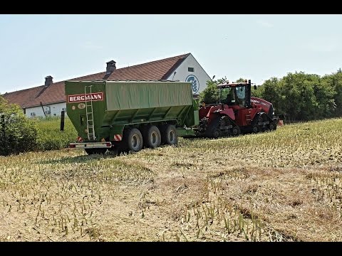 Vídeo: Amb Quines Mongetes Es Combinen