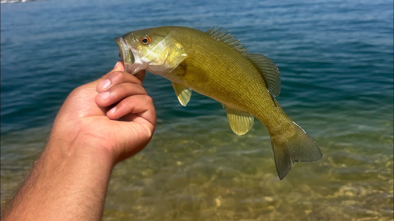 BASS FISHING lake Powell