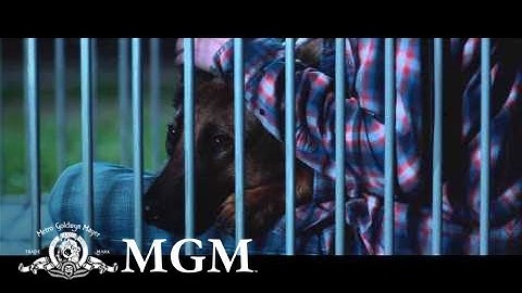 Max | Official Trailer [HD]