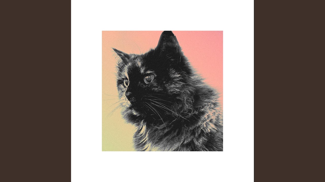 Watch Not Surprised on YouTube Watch Not Surprised on YouTube