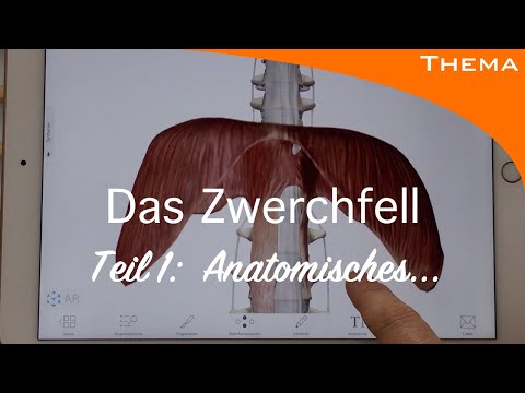 Video: Versorgt der Zwerchfellnerv das Herz?