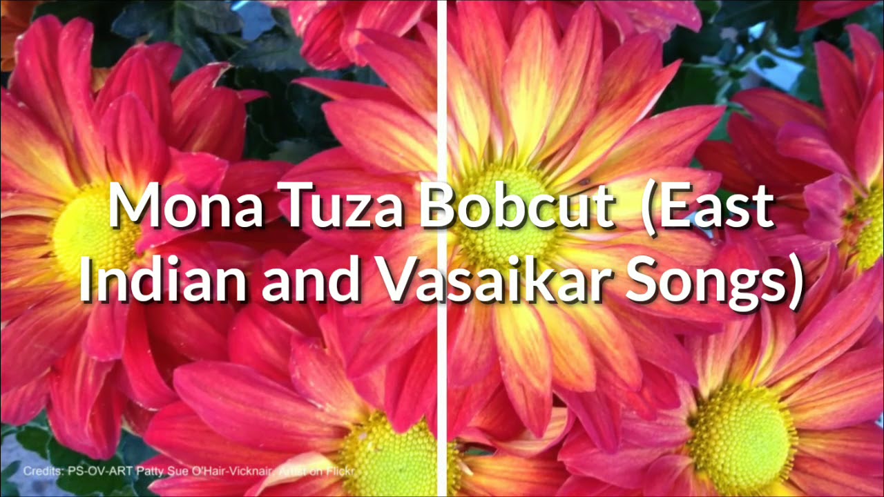 Mona Tuza Bobcut  East Indian and Vasaikar Songs