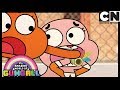 O Cara | O Incrível Mundo de Gumball | Cartoon Network