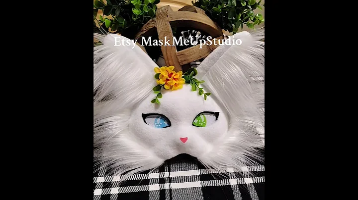 Video 11730761: furry cat, manee cat