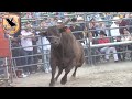 !!No Pudieron Los Jinetes¡¡ con Los Toros de Rancho Dos Cañadas en Turlock CA.