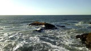 Costa entre playas Colcura y Chivilingo, comuna Lota, Prov. Concepcion, region Bio Bio, pais Chile.