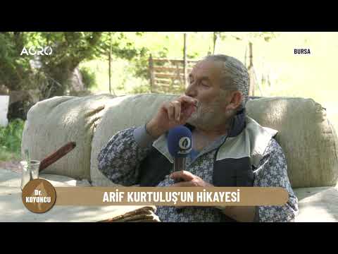 Bursa - Mudanya İlçesinin Bademli Köyü'nde Hayvancılık | Dr. Koyuncu