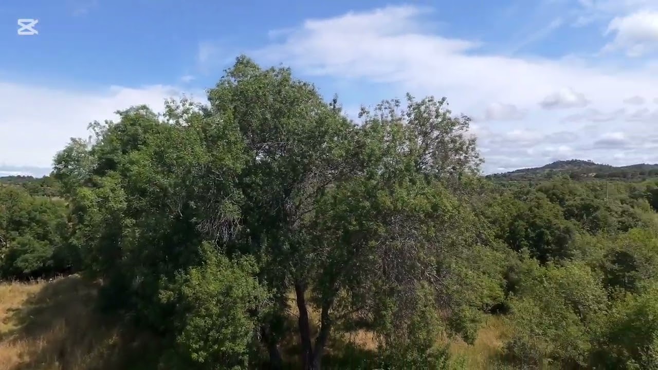 Isolated farm with loads of water! Central Portugal! Only 23.000€