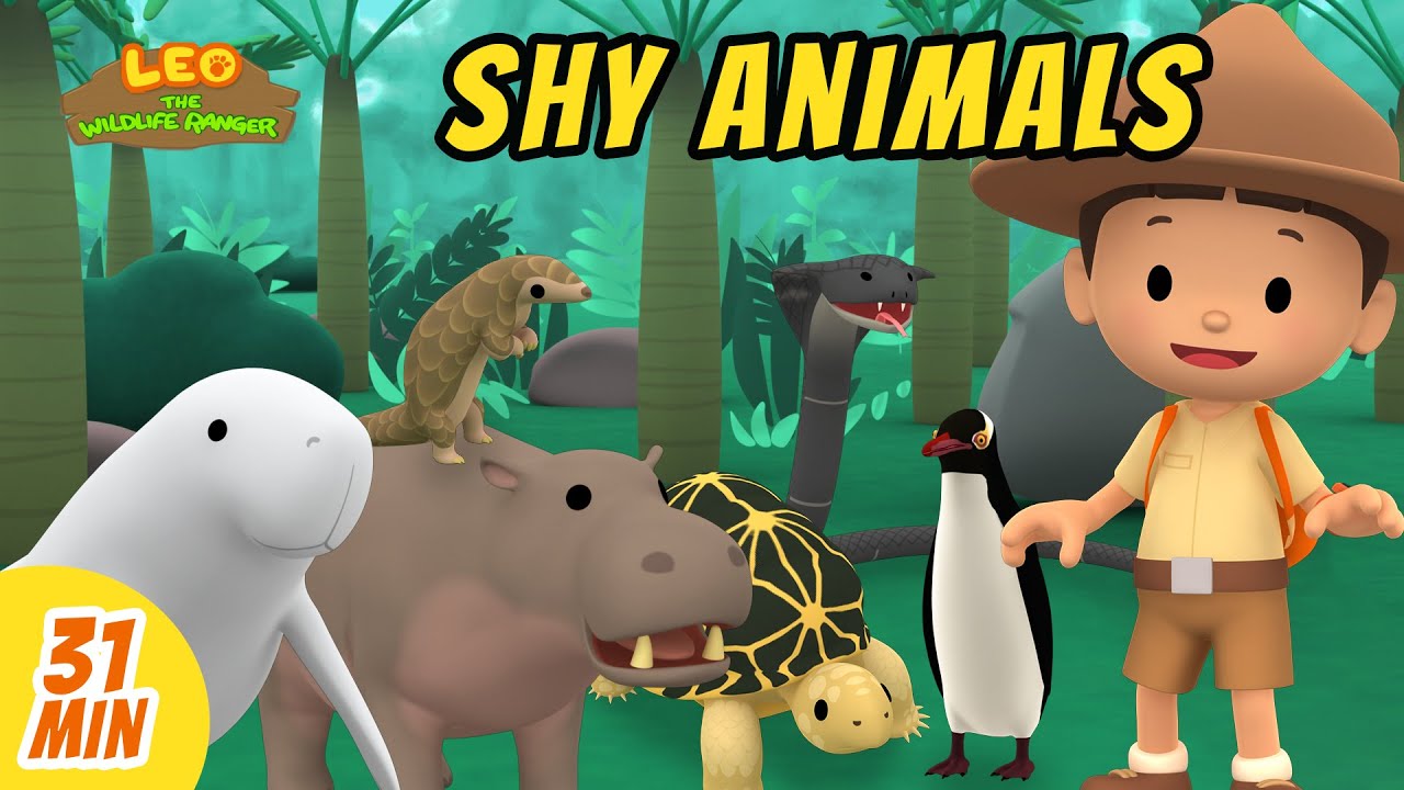 Shy Animals Videos Compilation | Leo the Wildlife Ranger | Animation | Fun  Animal Show For Kids - YouTube