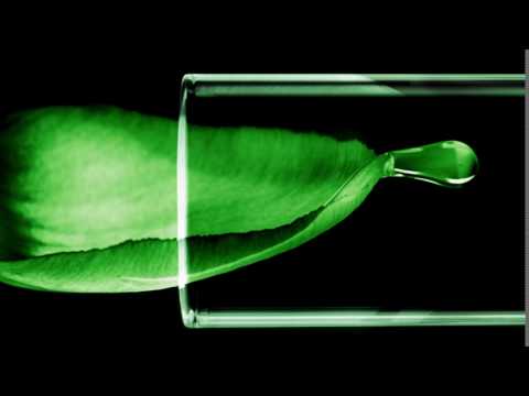 Acaba con la Caspa en el Cabello con Elvive Phytoclear de L'Oréal Paris. - Acaba con la Caspa en el Cabello con Elvive Phytoclear de L'Oréal Paris.