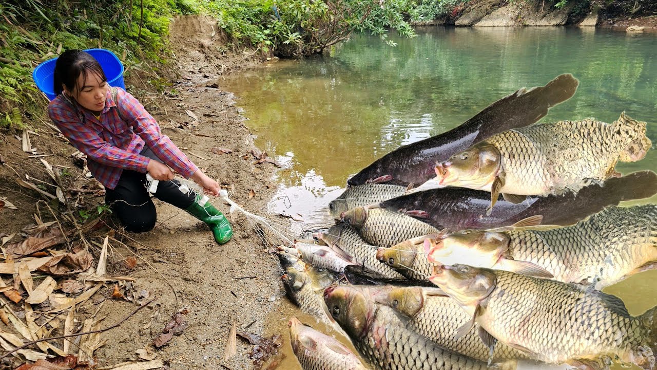 FULL VIDEO Traditional fishing techniques - 240 days single mother caught big fish with many skills
