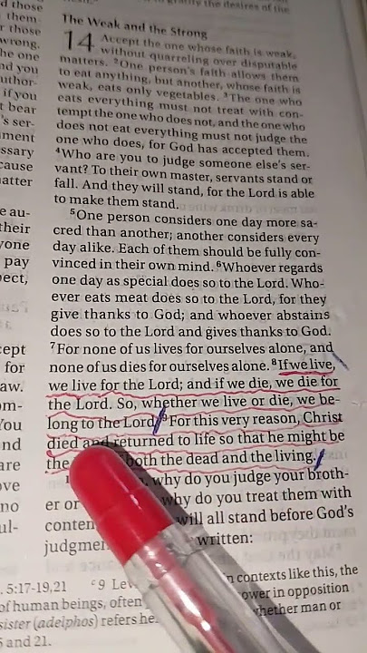 Live for the Lord and die for the Lord Romans 14:8-9🙏🏻#bible#verse  #jesuslovesyou #fypage