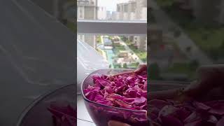 اذا جربتي تعملي شراب الورد بهي الطريقة رح تبطلي تشتريه من السوق ?? مطبخي تسنيم_هوم explore food