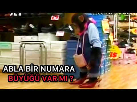 AYAKKABI ALMAYA GİDEN MAYMUN HEKKO