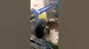 شاهد ترس تفريز 