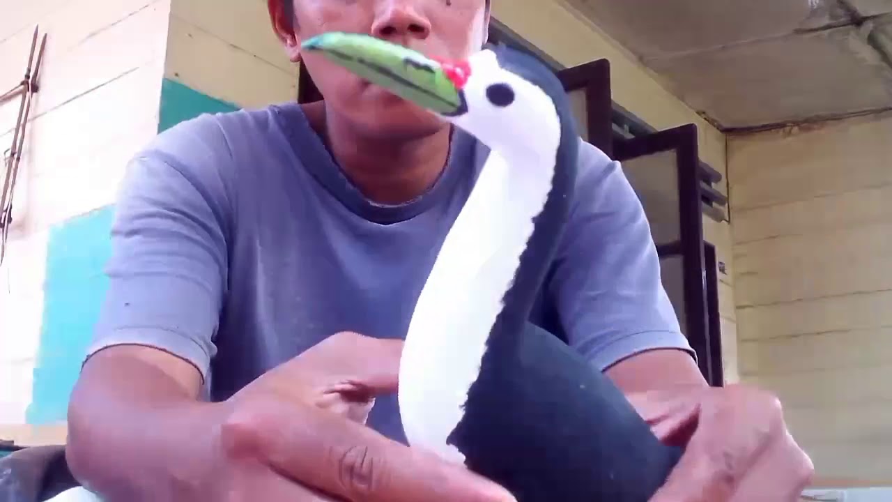 Patung Decoy Burung Wak Wak Ruak Ruak Untuk Mikat By Ahmad