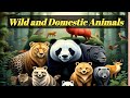 Animals around us| Wild Animals| Domestic Animals| Pet Animals for kids| Animal video for kids