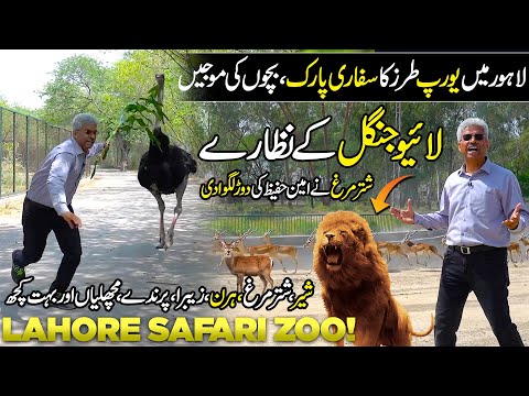 Exploring Lahore Safari Zoo | Live Zoo Like Europe | Amazing Place For Picnic | Discover Pakistan