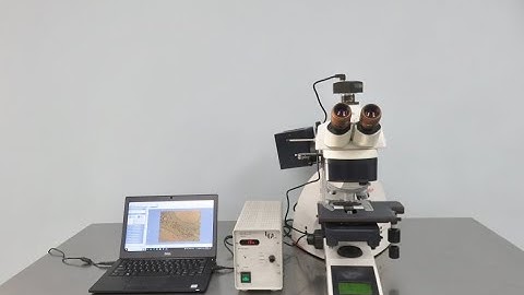 Leica Fluorescence Microscope Video ID 23558