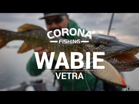 Największe smużaki - Corona-Fishing
