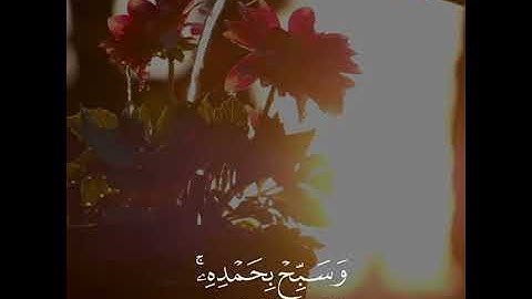ما تيسر من سوره الفرقان | بصوت القارئ ادريس ابكر | حالات واتس اب♥♥.