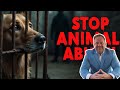 STOP ANIMAL ABUSE! Why These Monsters Deserve Prison! | Episode 23