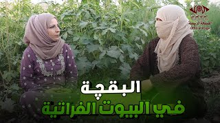 البقچة في البيوت الفراتيةبرنامج لمة حبايب #الرقة #التراث_الفراتي