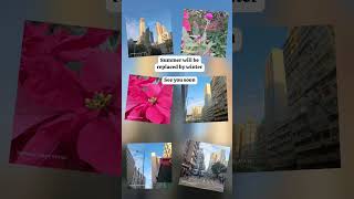 Download Lagu pejuang rupiah #bidaquote #hongkongstreet #travel #katakatamotivasi #katakatabijak #explorehongkong MP3 Download Lagu pejuang rupiah #bidaquote #hongkongstreet #travel #katakatamotivasi #katakatabijak #explorehongkong MP3