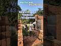 23 September 2025#vrindavan #shortsviral #realestate #shorts #shortsviral