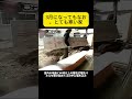 3月になってもなお、とても寒い家