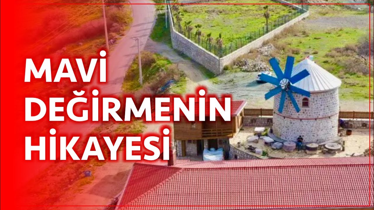 sikis videos
