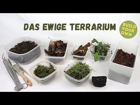 Video: Wann wurde Moosglas hergestellt?