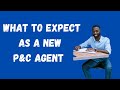 What to Expect as a P&C Insurance Agent