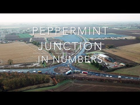 Peppermint Junction in Numbers