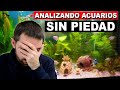 🕵️ Acuarios de Suscriptores Nº18 | Peces incompatibles | Parámetros | Acuarios Pequeños 🔥SIN PIEDAD🔥