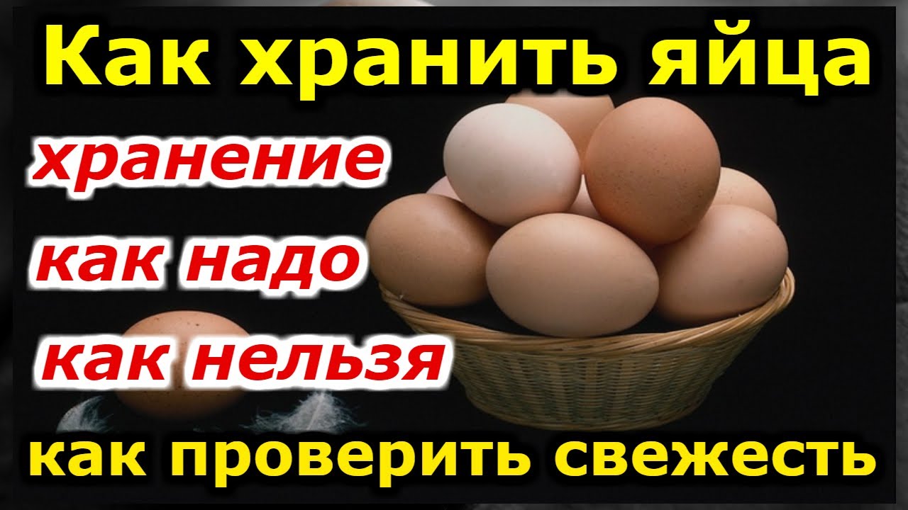 Сколько дней лежат яйца. Как хранить яйца. Срок хранения куриных яиц. Условия хранения яиц. Срок хранения яиц в холодильнике сырых куриных домашних.